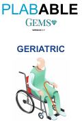 20.2- GERIATRIC.pdf